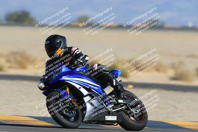 media/Jan-14-2024-SoCal Trackdays (Sun) [[2e55ec21a6]]/Turn 4 Tree of Life (155pm)/